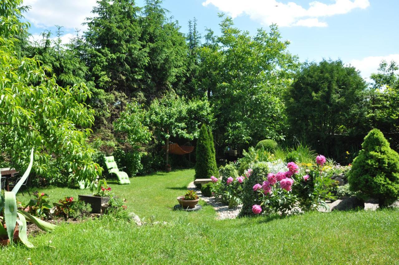 Appartamento Oaza U Tadeusza Augustów Esterno foto